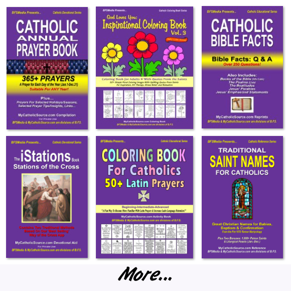 Click Here for MyCatholicSource.com Media (Books, Ebooks)