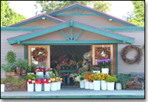 Flower Shop