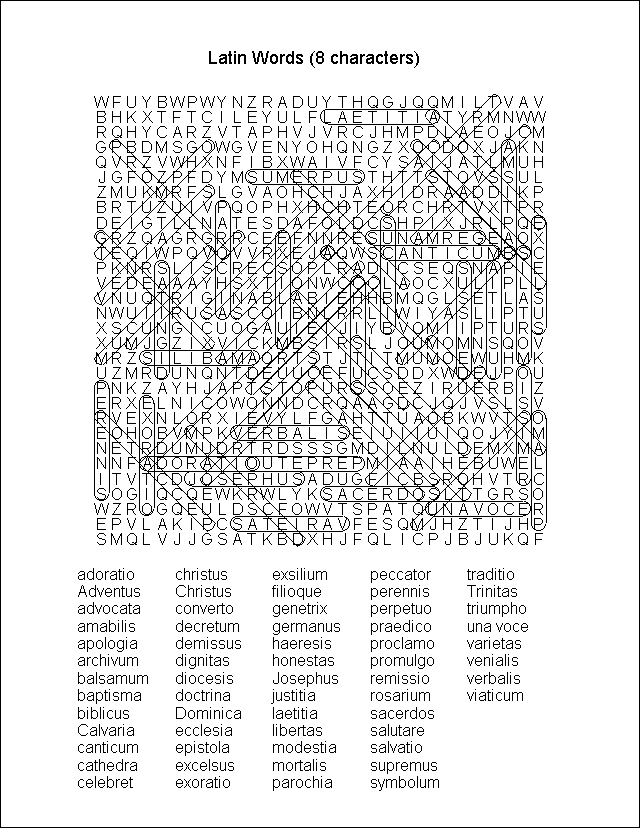 Word Search Puzzle