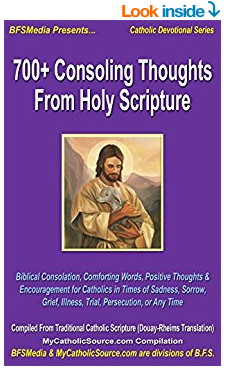 700+ Consoling Thoughts From Holy Scripture - Click for more information & to purchase