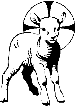 Lamb 