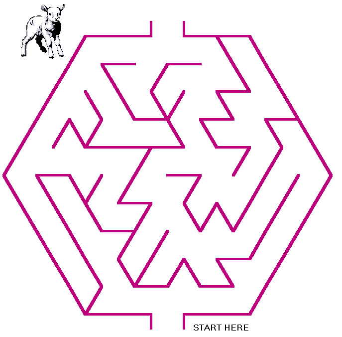 Maze